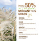 Miscanthus Grass