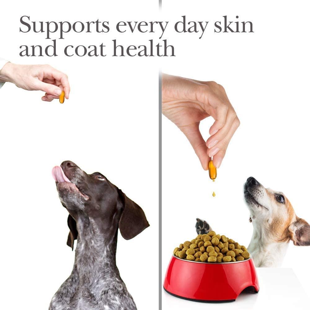 Dogs waiting to eat fish oil softgel