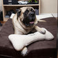 Orthopedic Dog Bed XL - iloveleia.com