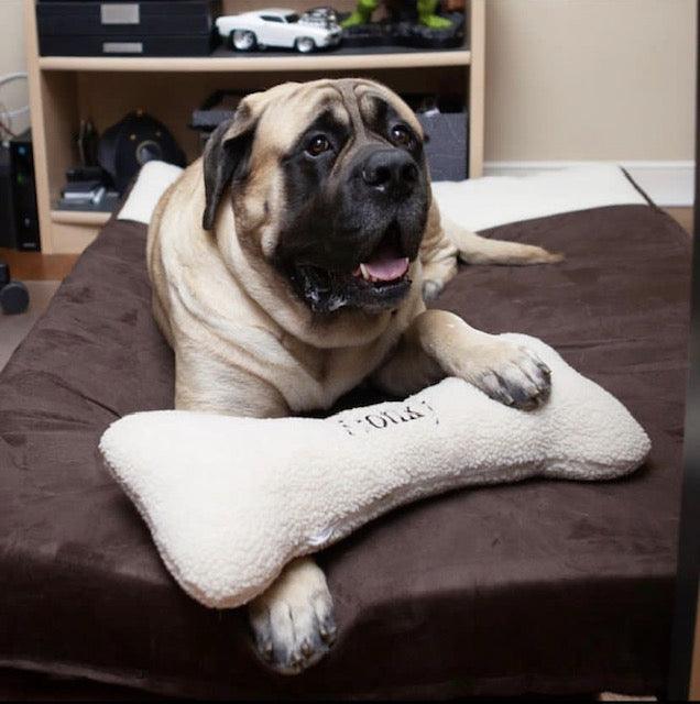 Orthopedic Dog Bed XL - iloveleia.com