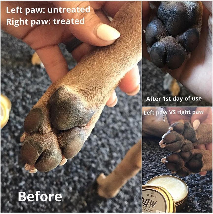 Dog Paws Before and After using the Paw Wax