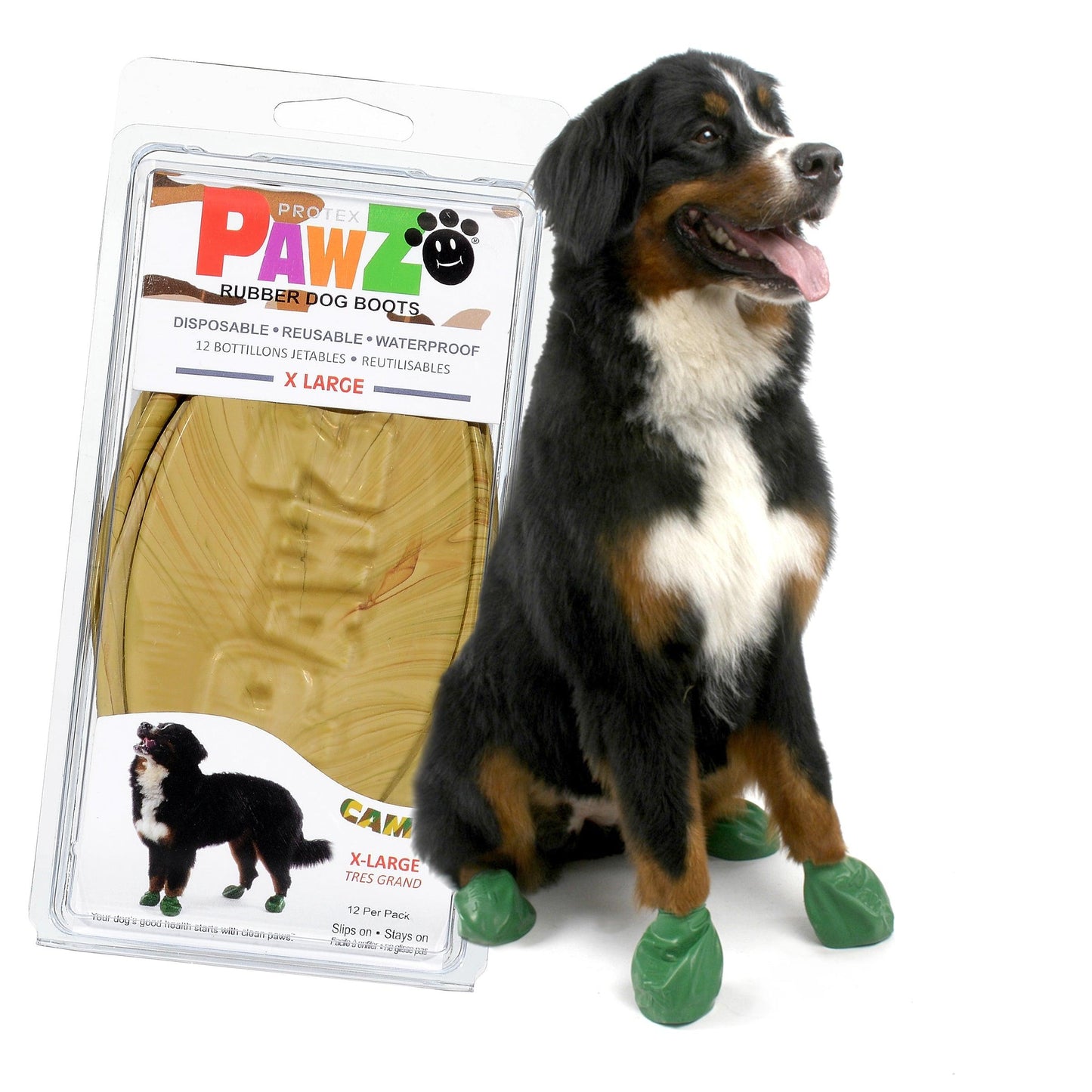 Bernese Mountain Dog and a pack of Pawz extra large dog boots in camo