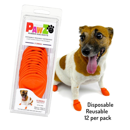 Jack Russell dog wearing Pawz extra small dog boots in orange
