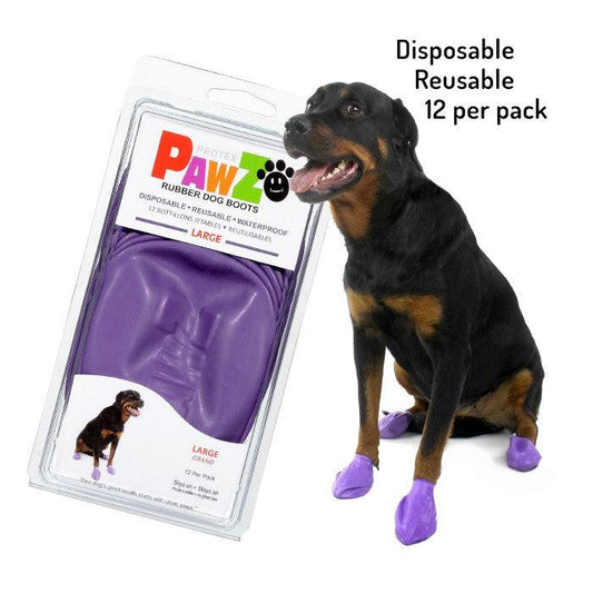 Rottweiler dog wearing Pawz large size dog boots in purple