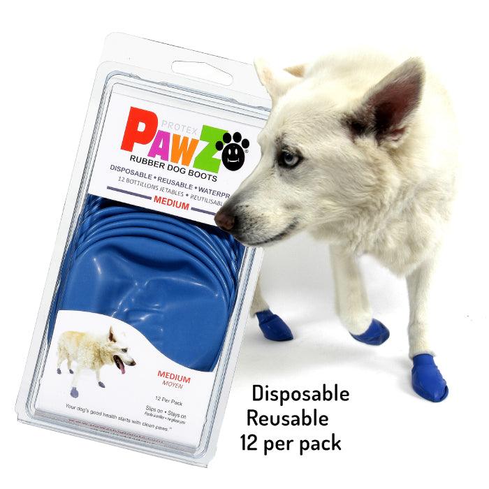 Dog wearing Pawz Medium size dog boots in blue