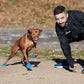 Dog wearing Pawz Medium size dog boots in blue and man playing together