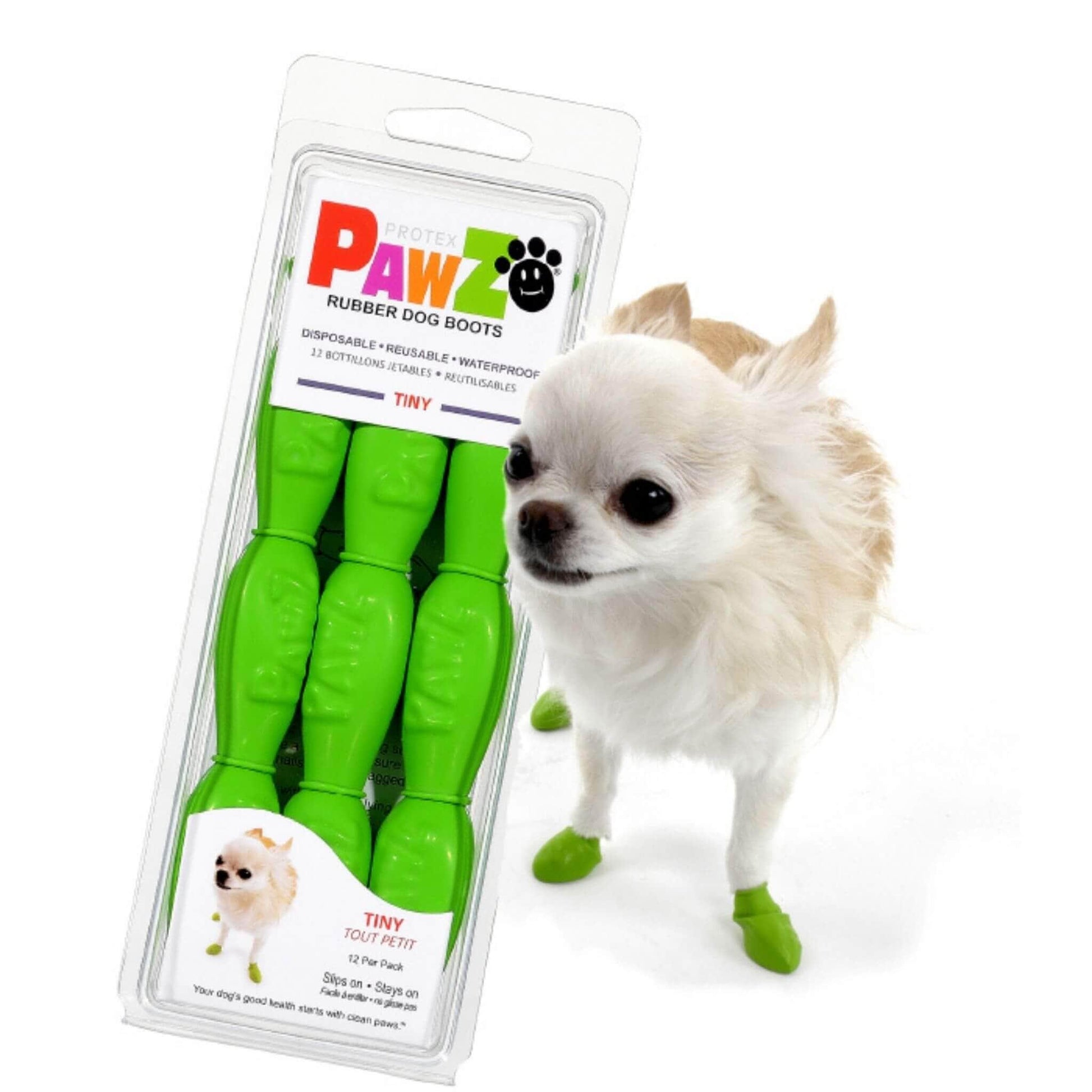 Chihuahua dog wearing Pawz tiny size dog boots in green