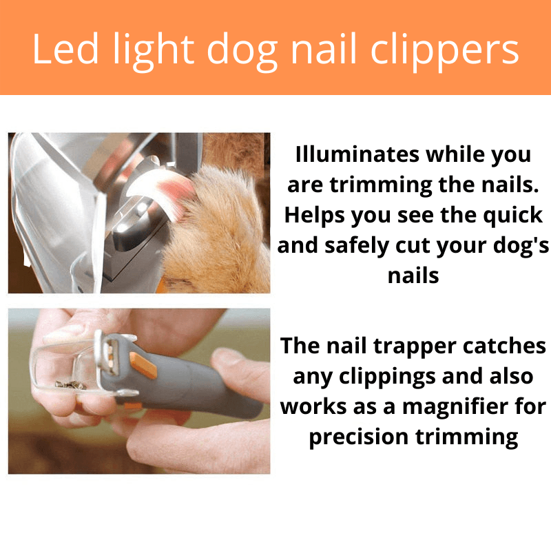 Dog nail clipper with light