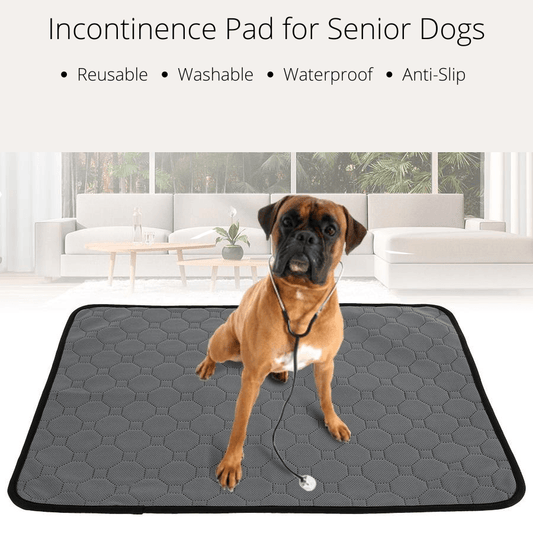 Boxer dog sitting on reusable washable waterproof and anti slip pad