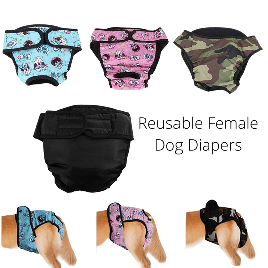 Four Female dog diapers in colorful prints and black