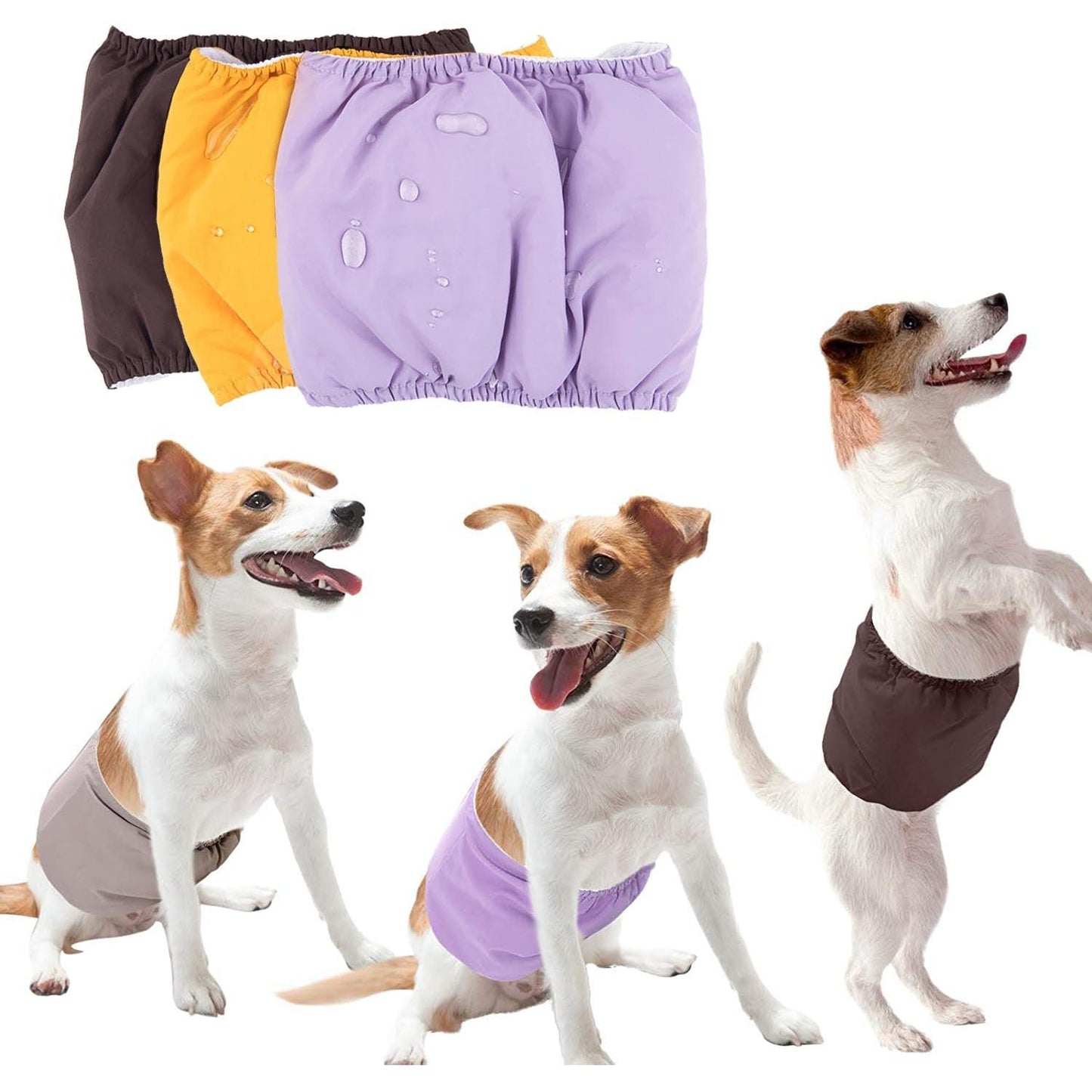 3 dog diapers and 3 male terrier dogs wearing a reusable diaper