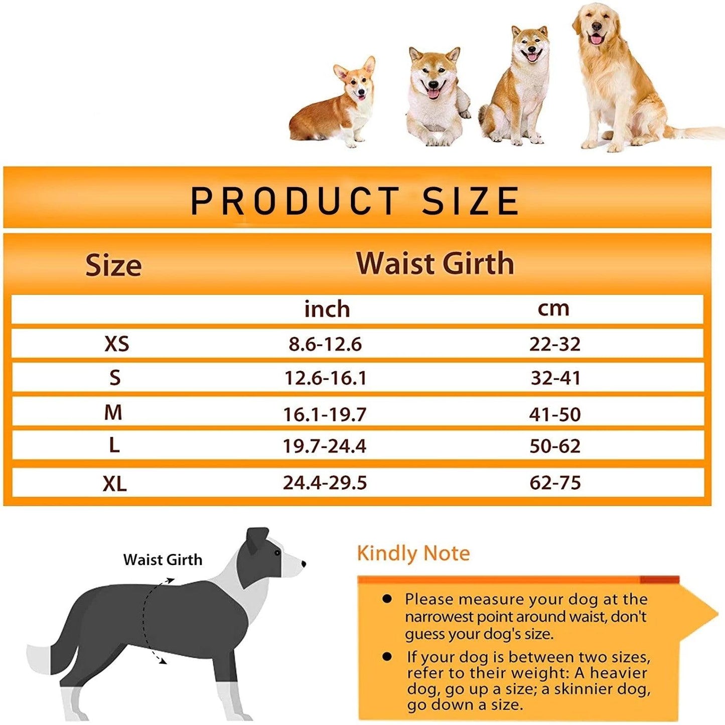 dog diaper size chart