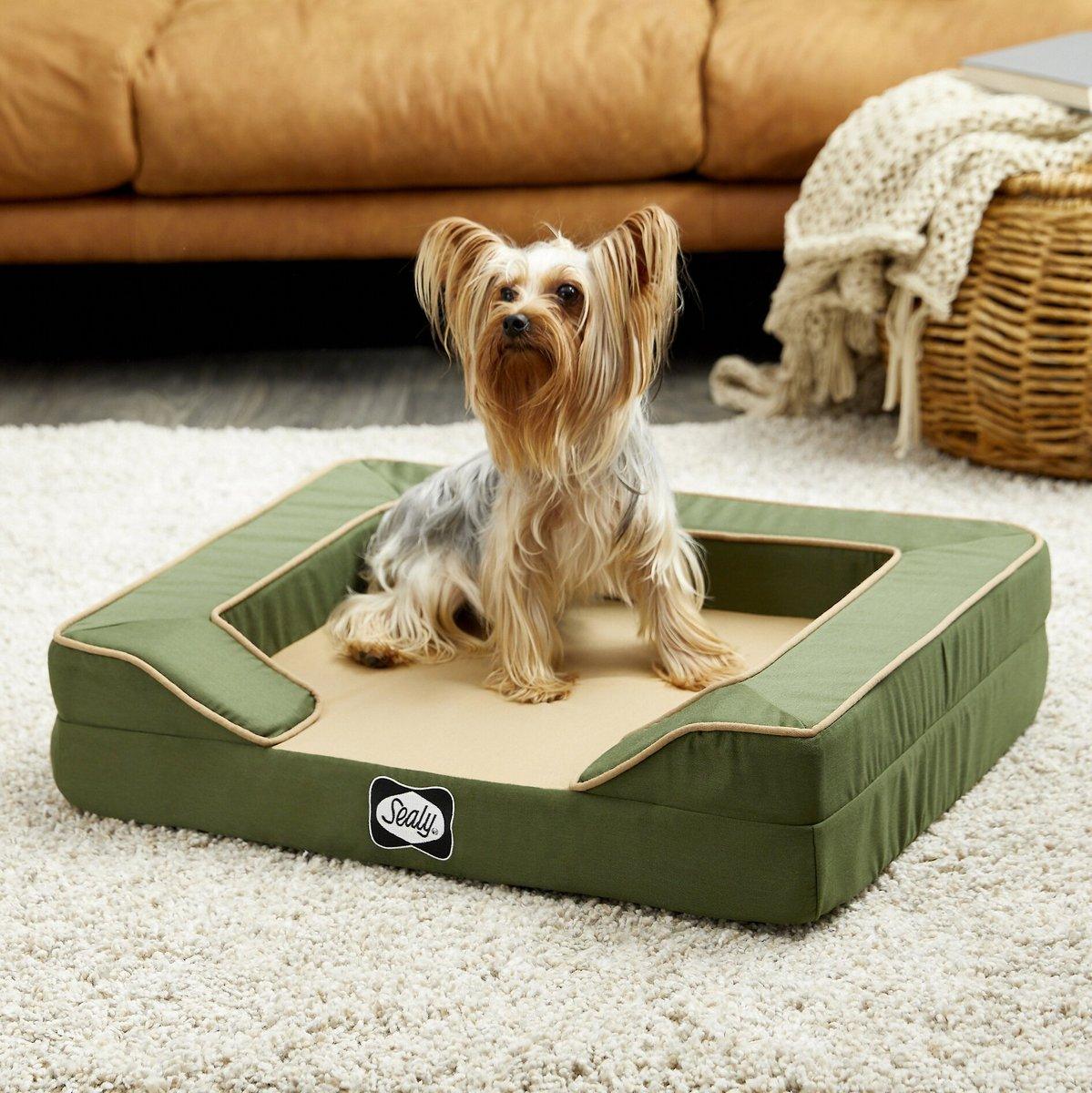 Sealy Lux Premium Memory Foam Dog Bed Quad Layer Technology - iloveleia.com