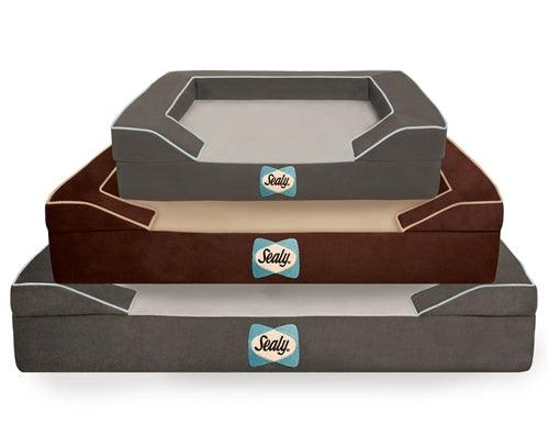 Sealy lux premium orthopedic dog outlet bed