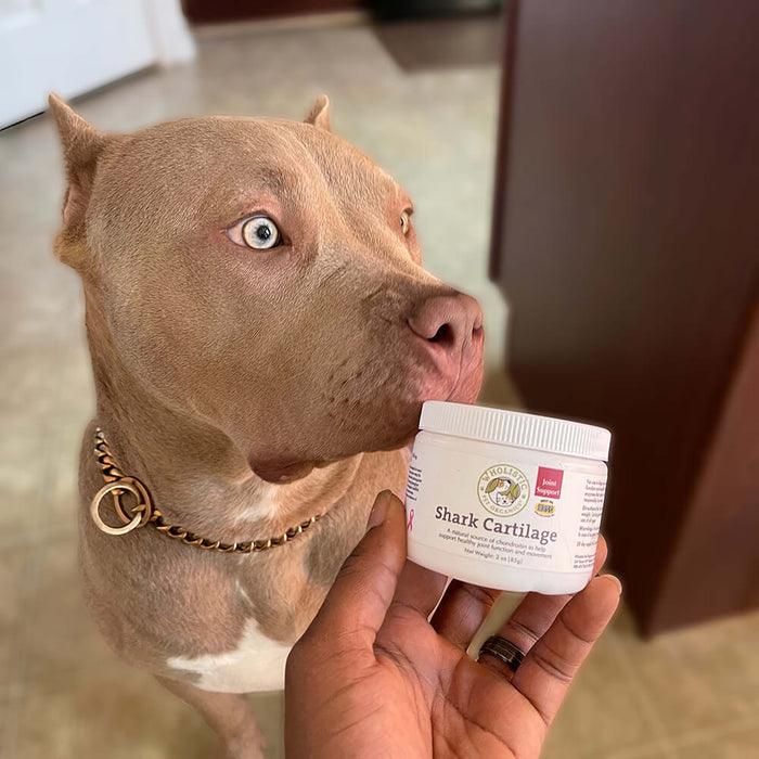 Pitbull with Wholistic Pet Organics Shark Cartilage Supplement for Dogs