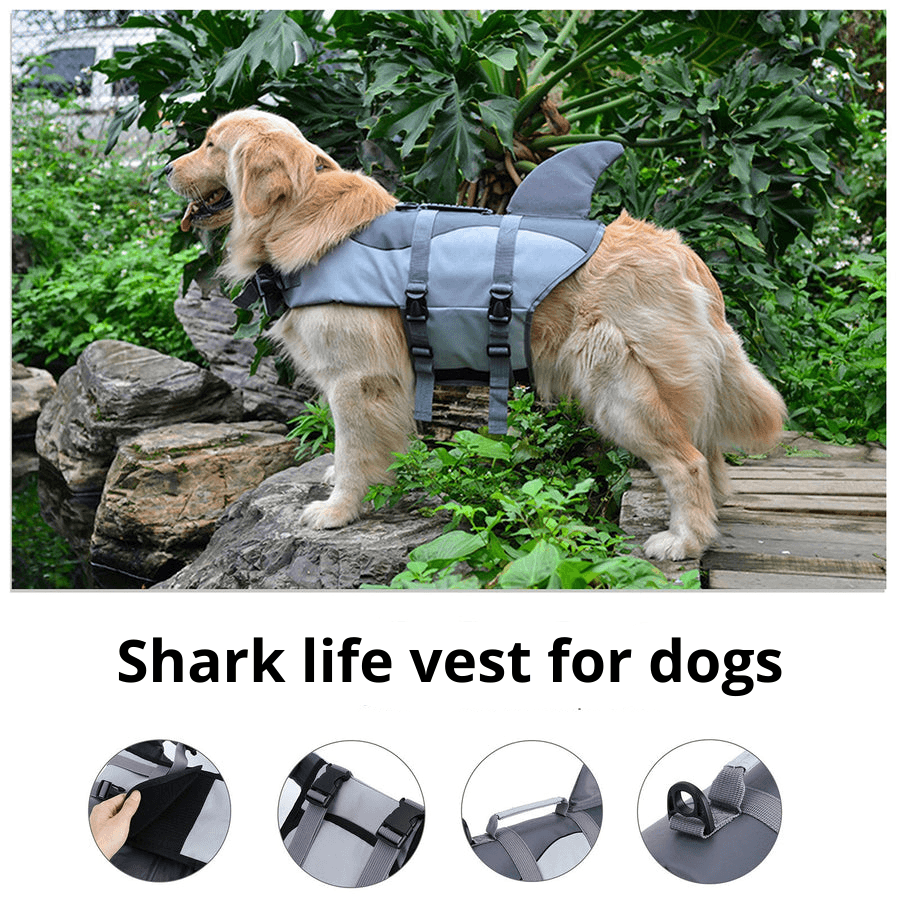 Golden Retriever wearing a life vest with shark fin