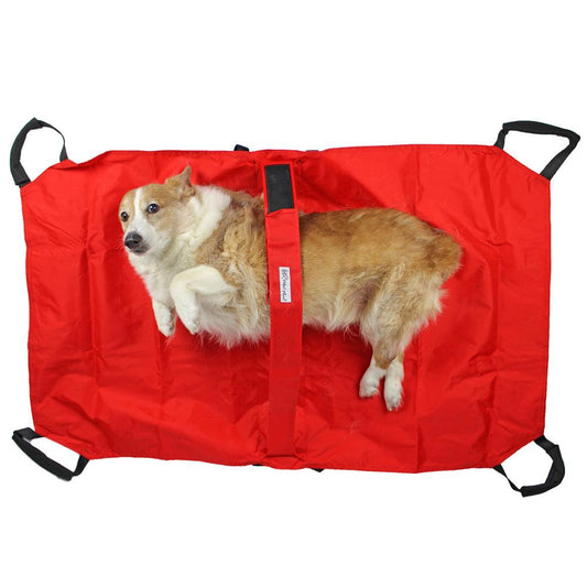 Corgi laying on a red stretcher for dogs
