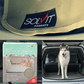 Dog SUV Cargo Liner Solvit Products and Husky dog standing in the back of a car